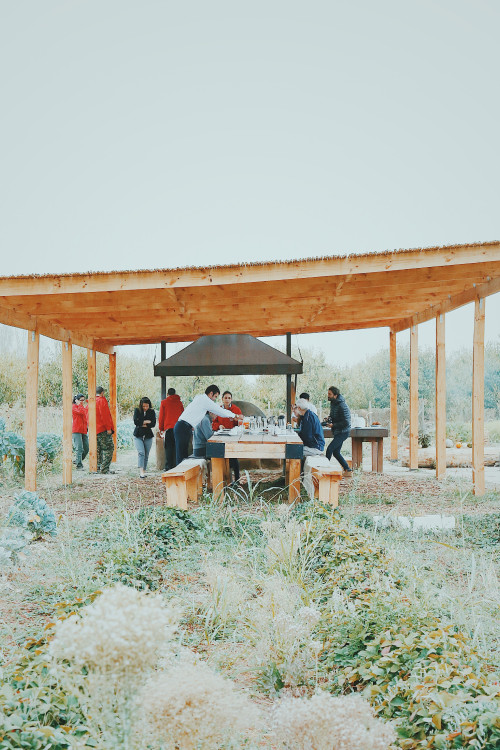 clay oven  barbecue trees men women people table photographer red jacket bush wood