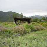 _DSC0552