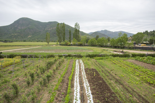 nature mountains green kitchen garden orchard trees vegetables herbs landscape