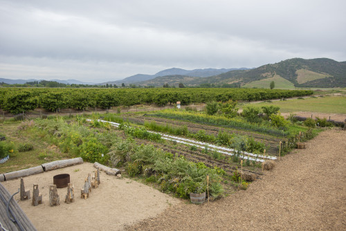 nature mountains green kitchen garden orchard trees vegetables herbs  wood fire chairs trunk landscape firebrand torch