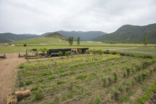 landscape nature mountains green kitchen garden orchard trees wine cellar
