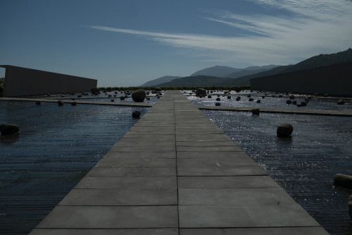 DSCF7979.jpg