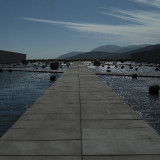 DSCF7979