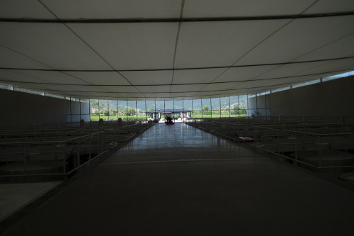 DSCF7983.jpg