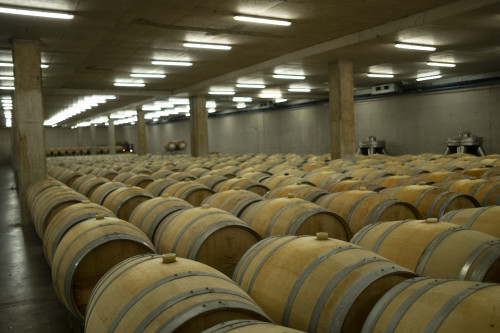 DSCF7990.jpg